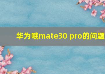 华为哦mate30 pro的问题